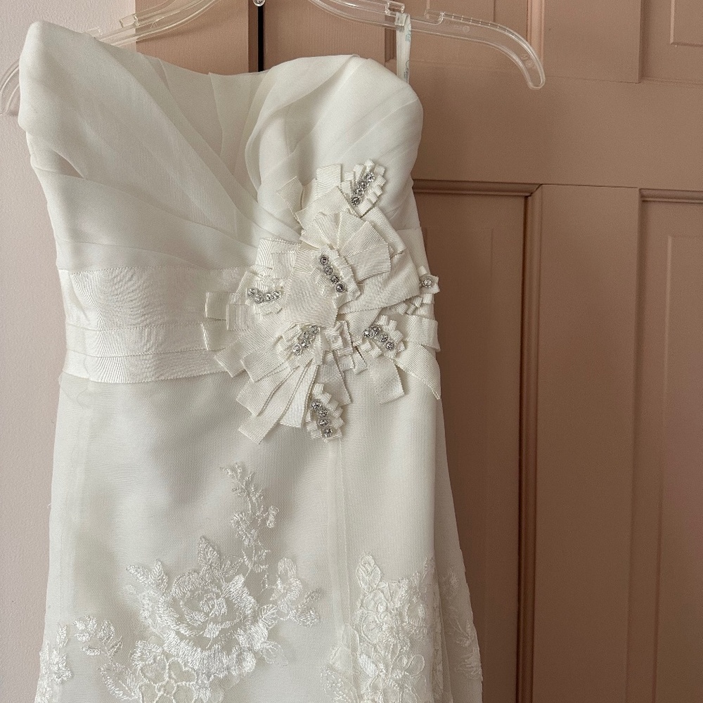 Enzoani Wedding Gown